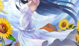 动漫美图,色彩斑斓的视觉盛宴